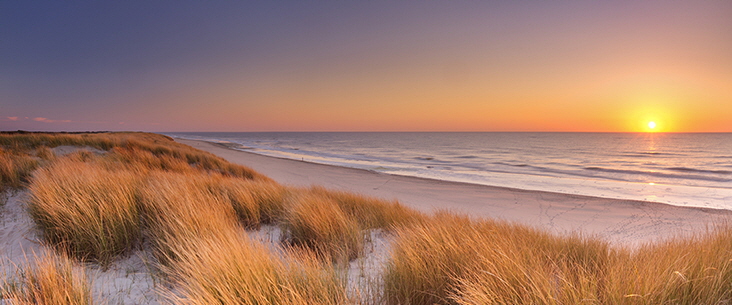 Beach Sunset